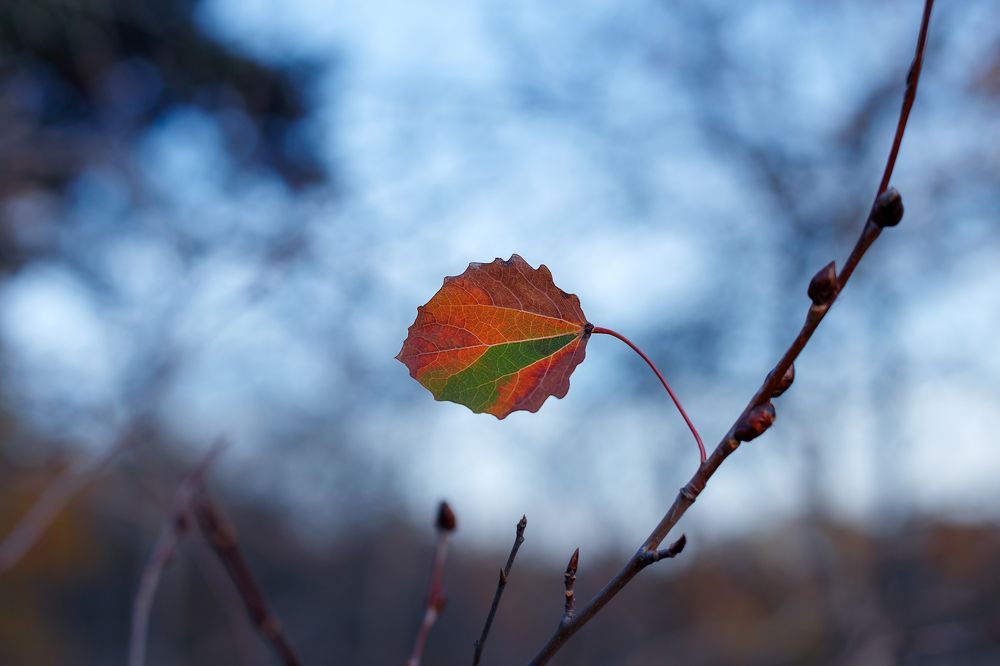 Photograph by Valentin Okulov