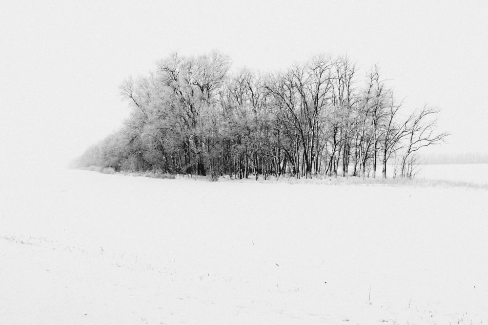 Photograph by Александр Пиленгас