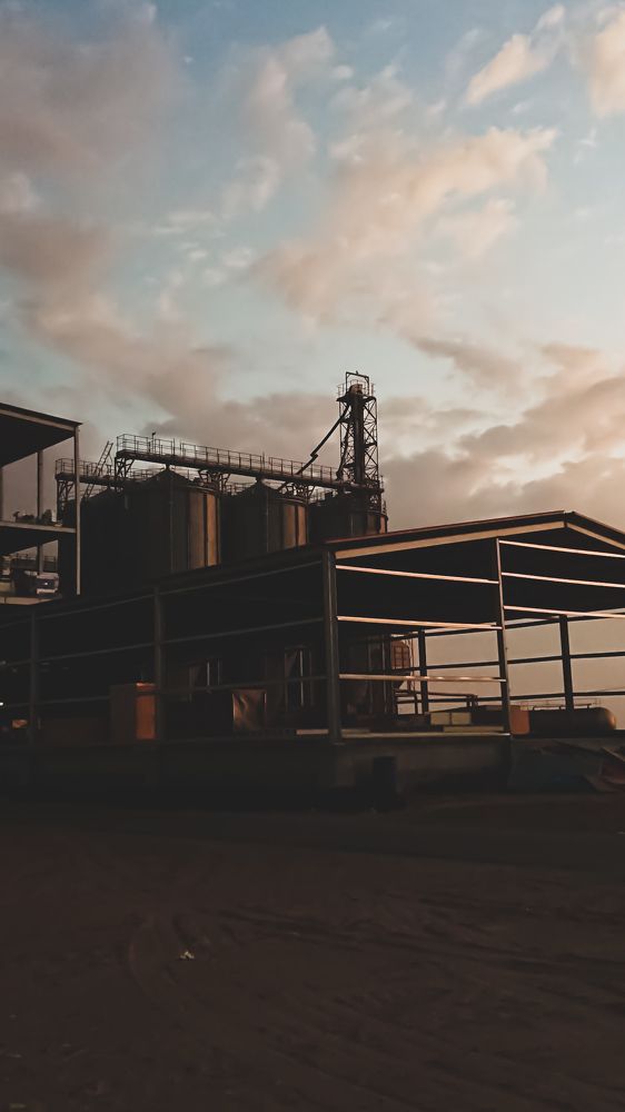 Photograph by Mutasim AL-Bulushi