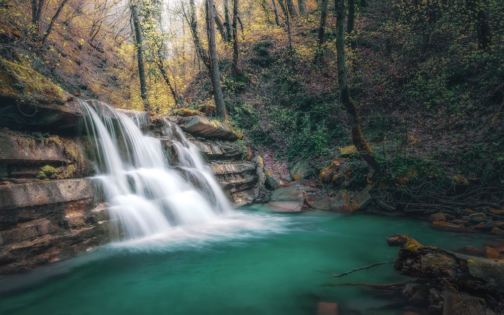 На весенней Жане