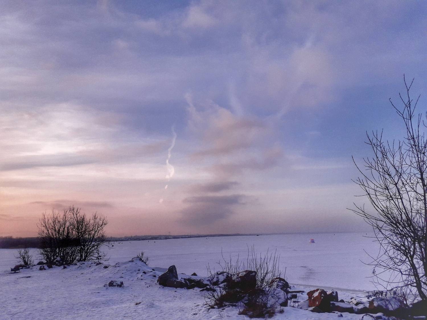 Photo #7135702