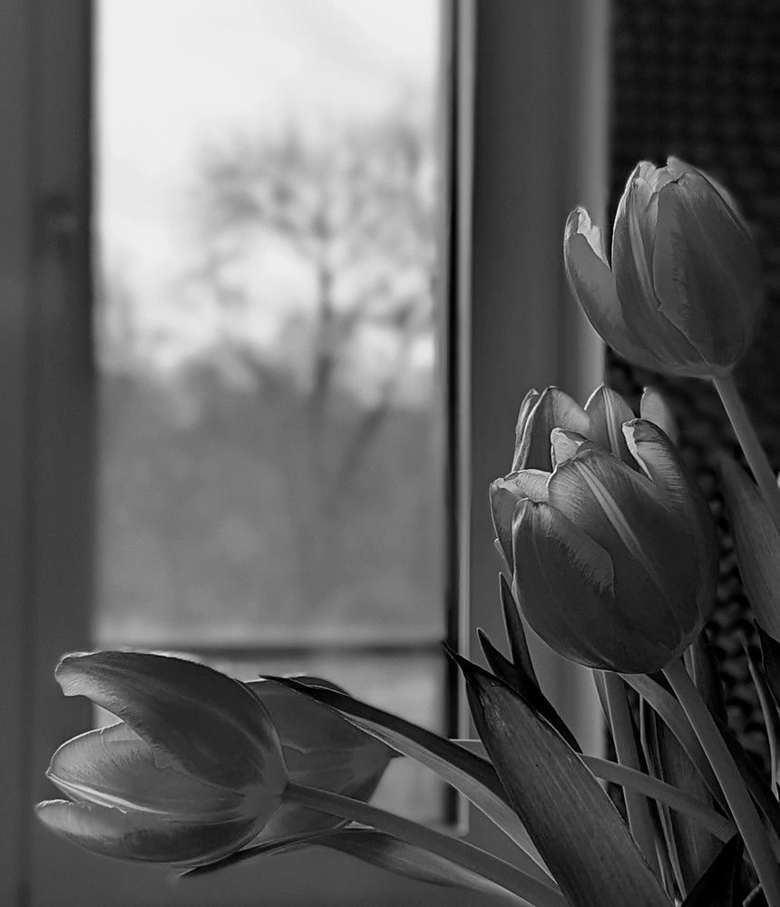 Photograph by Nika Rodionova