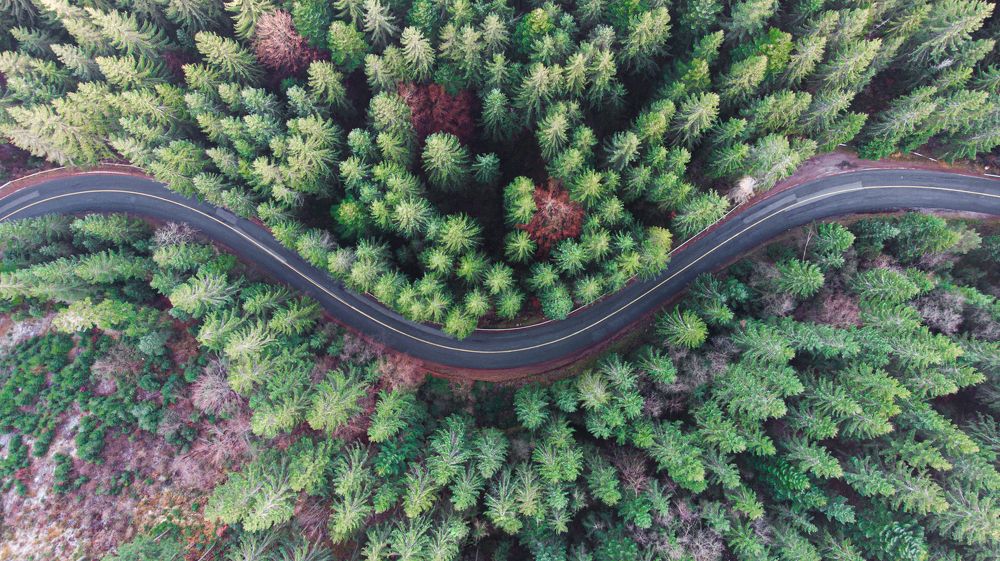 Photograph by Sergiu Vasile Bejan