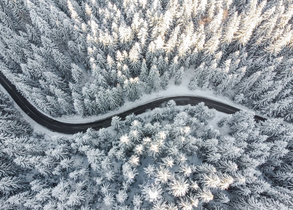 Photograph by Sergiu Vasile Bejan