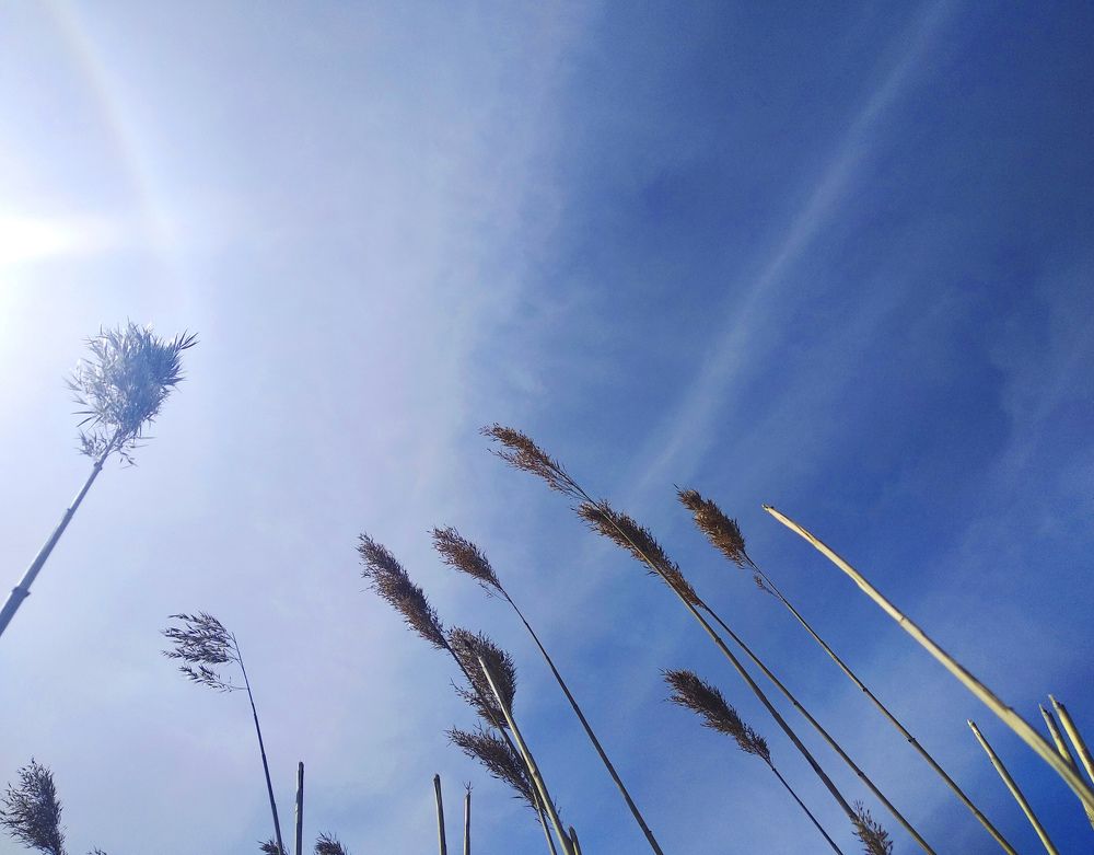 Photograph by Ирина Чагина