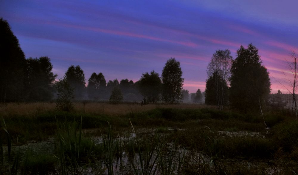 Ночные отблески зари