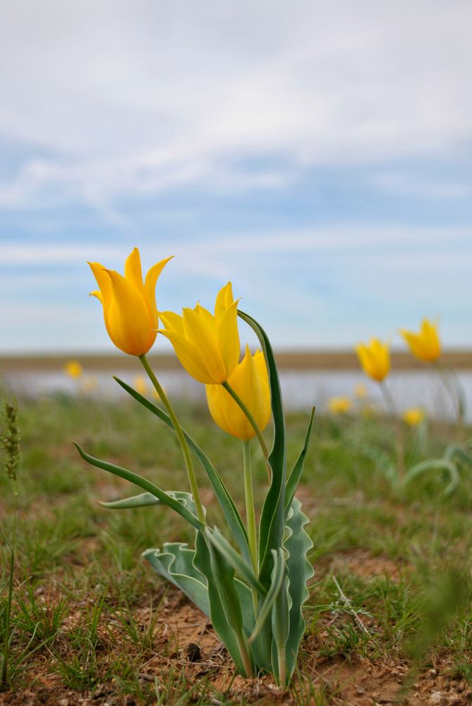 Photograph by Наталия Захарова