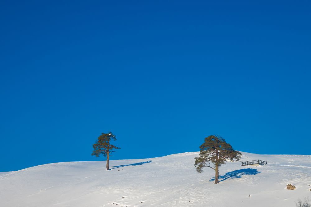 Вместе на холме
