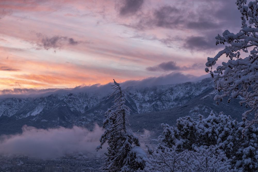 В свете заката