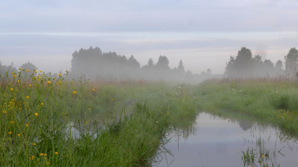 Photograph by Майя Синичкина