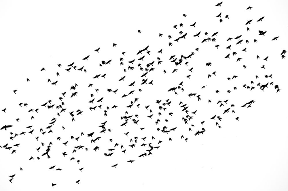 Photograph by Василий Либко