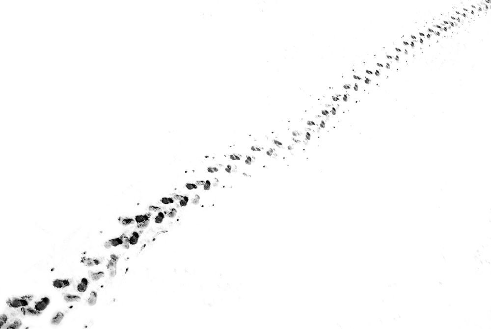 Photograph by Василий Либко