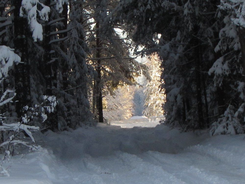 Дорога в сказку