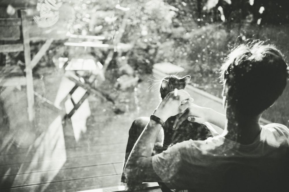 Photograph by Szatmári Zsolt