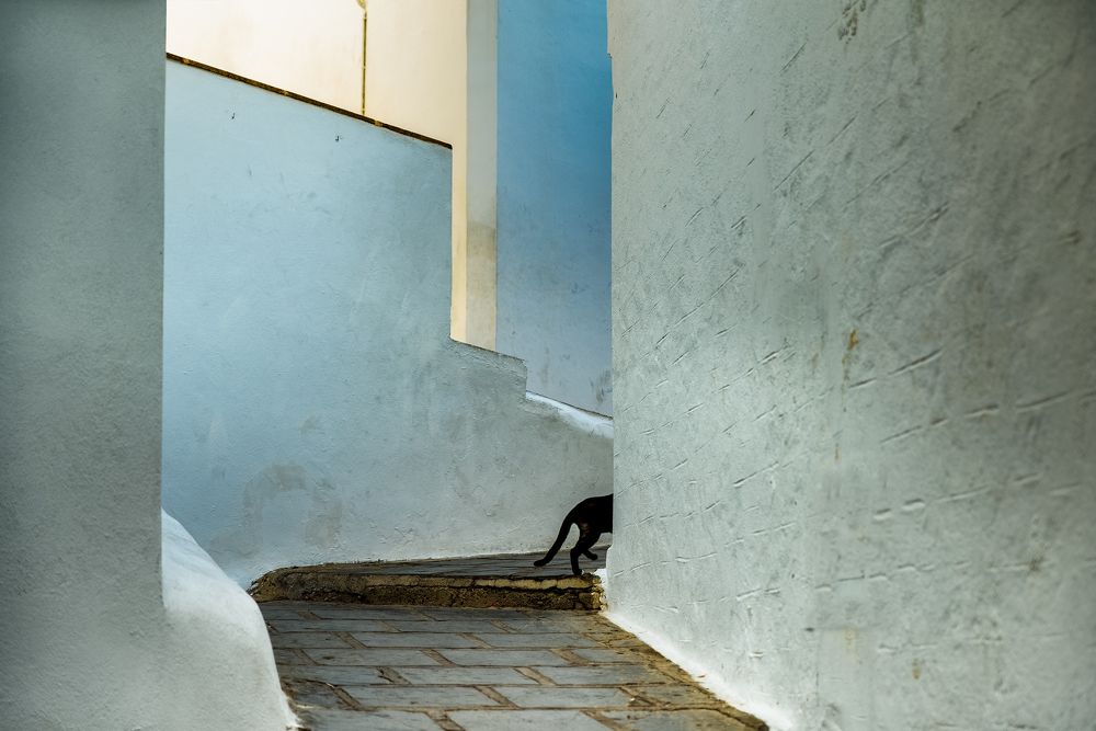 Photograph by Anna Wacker