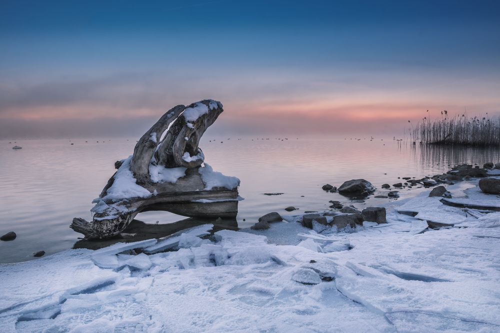 Photograph by Dani Wieczorek