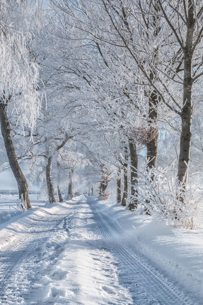 Photograph by Dani Wieczorek