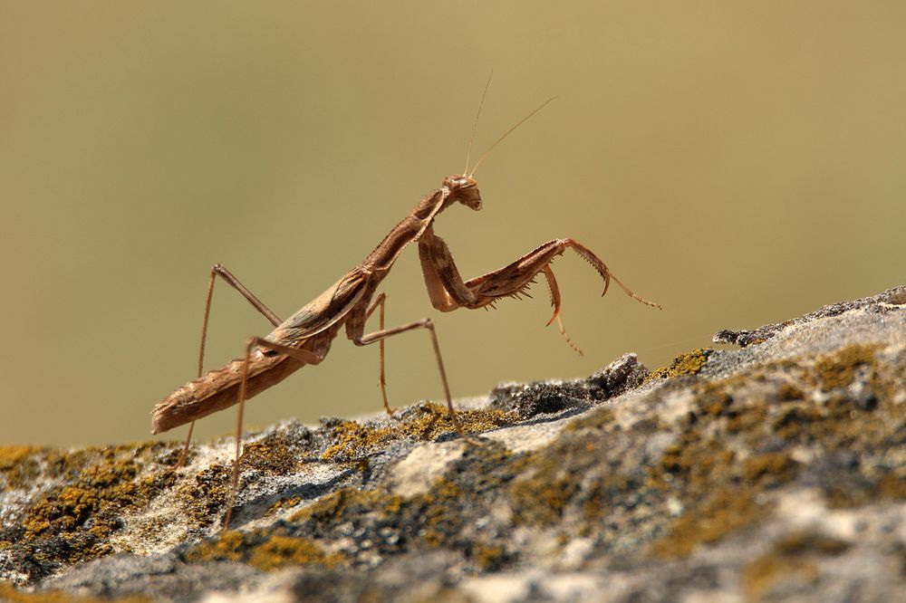 Photograph by Marat Magov