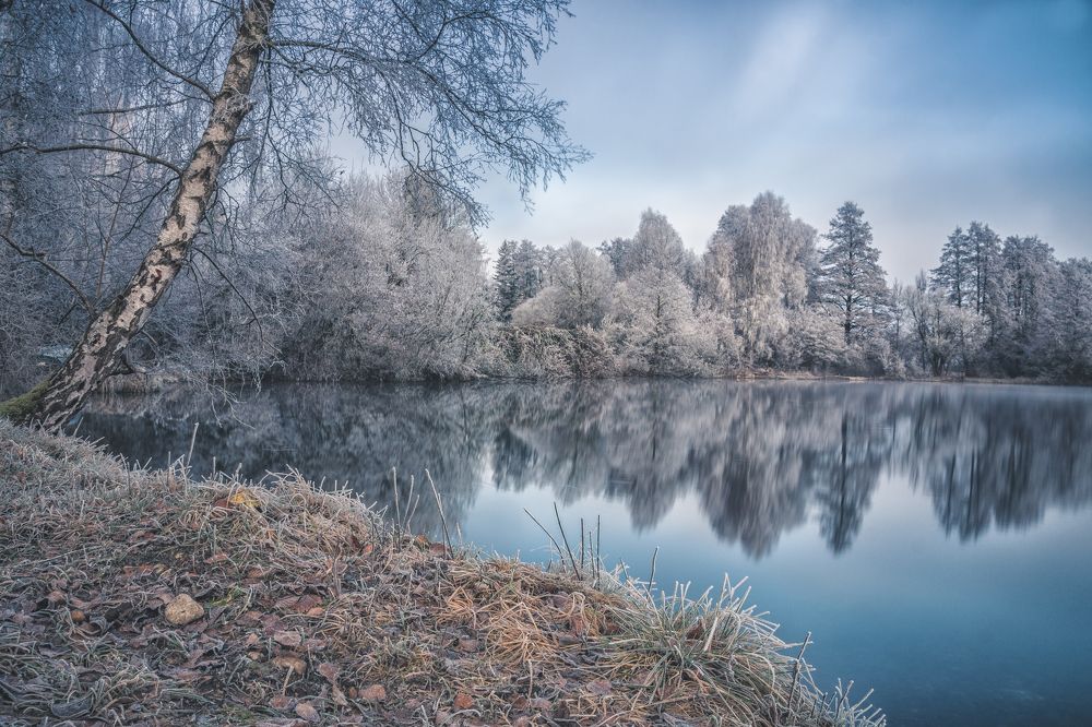 Photograph by Dani Wieczorek