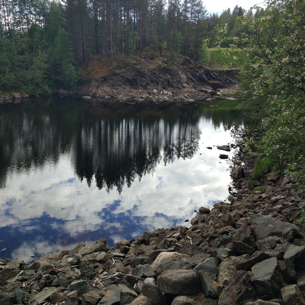 Photo #7136077