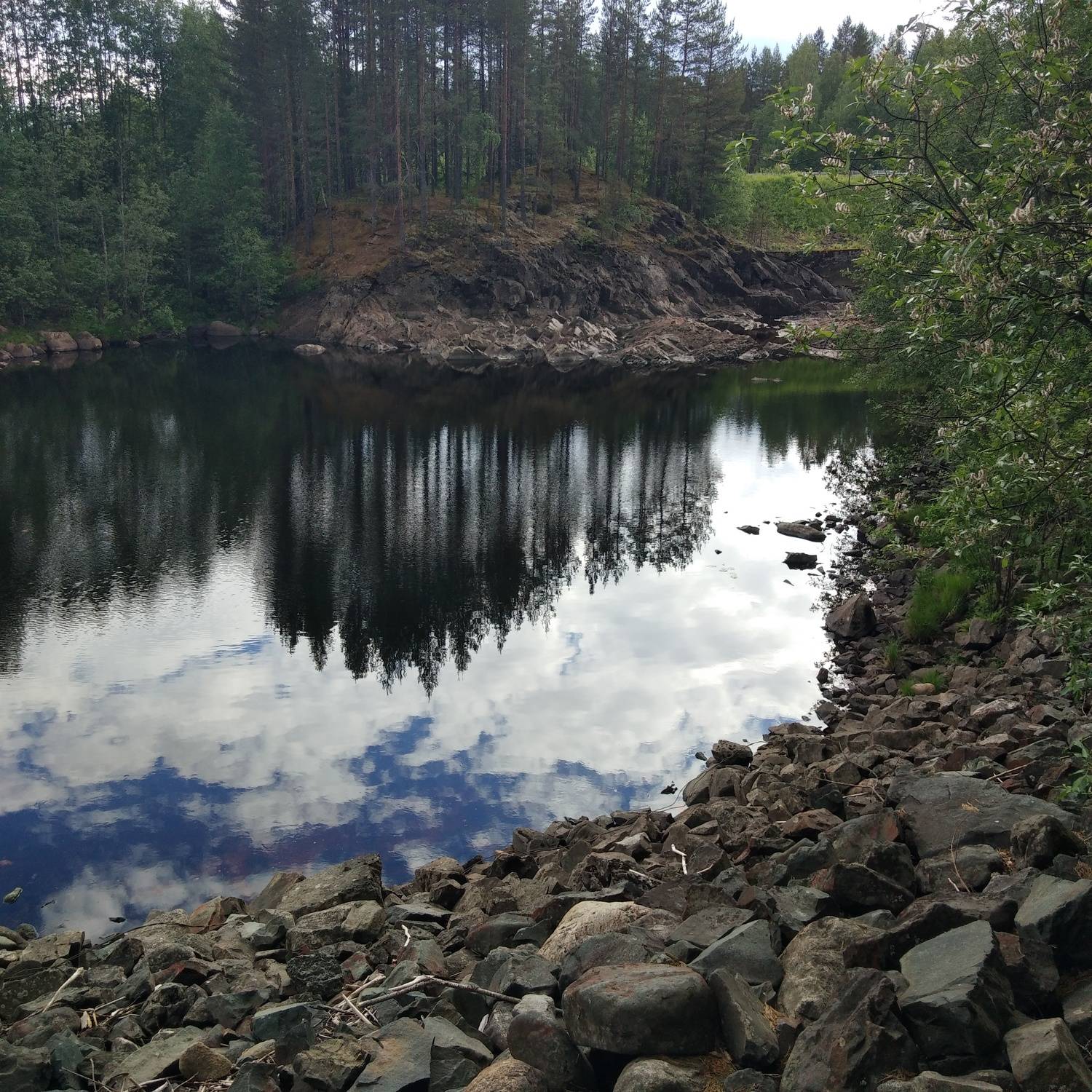 Photo #7136077