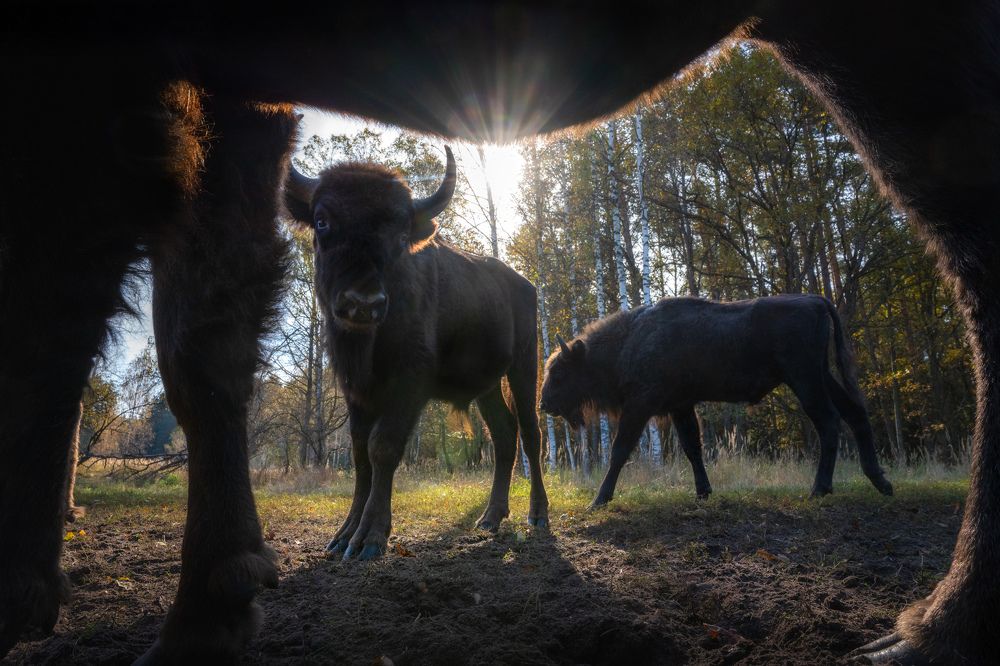 Фотография автора Mashin Rostislav