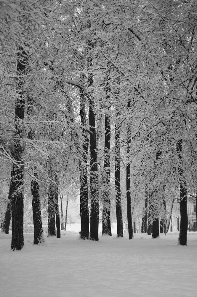 Photograph by Ася Радченко