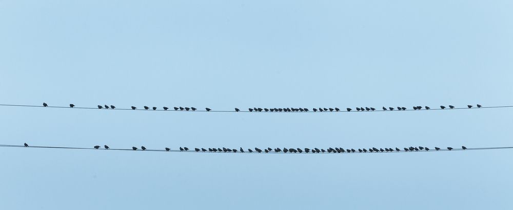 Photograph by Артур Нариманян