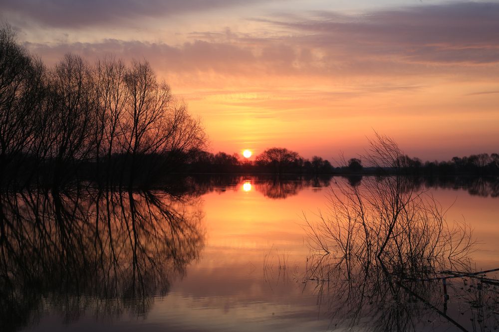 Photograph by Андрей Степанов