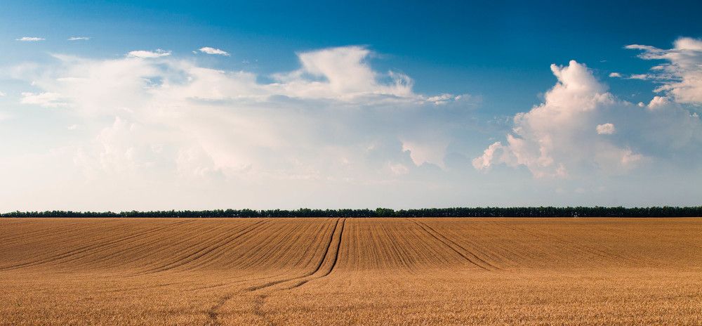 Photograph by Артур Нариманян