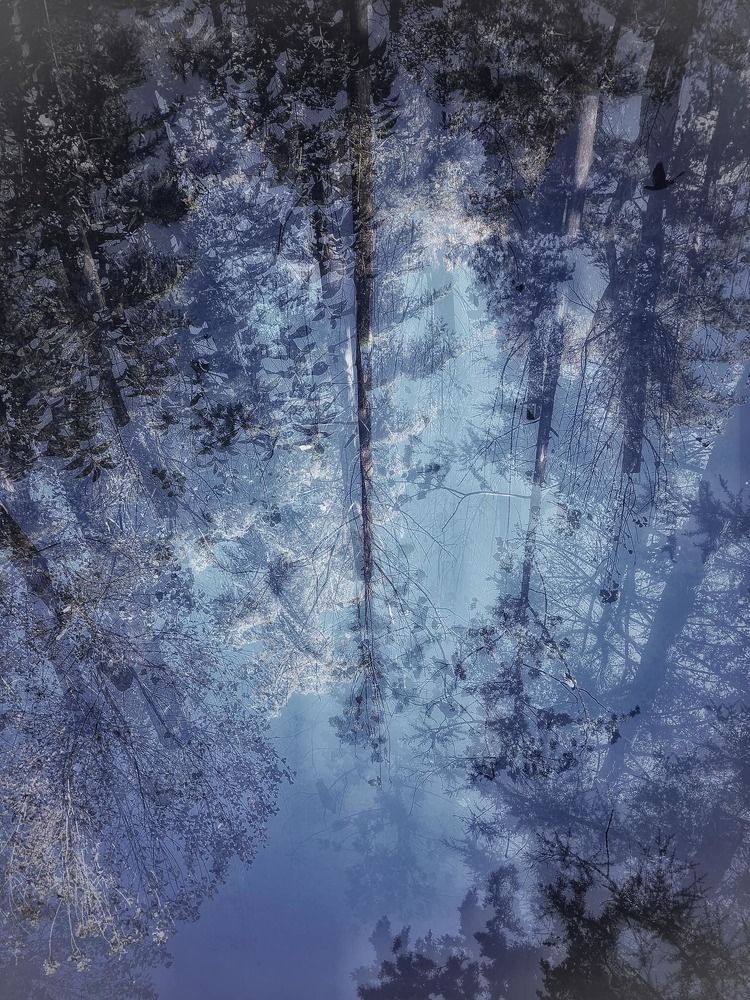 Photograph by Nunu Gambashidze