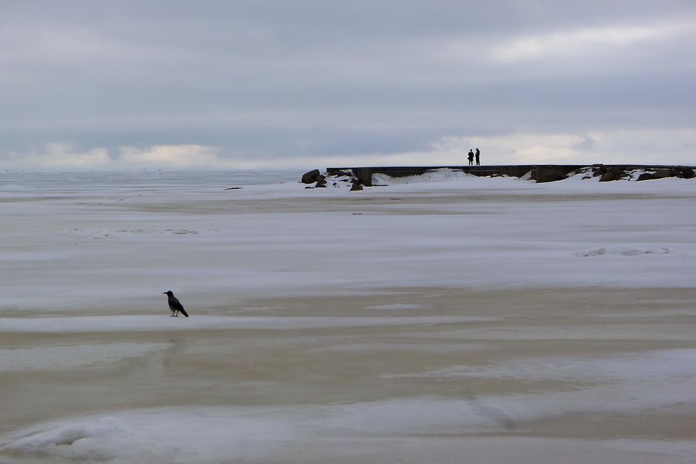 Photograph by Харис Шахмаметьев