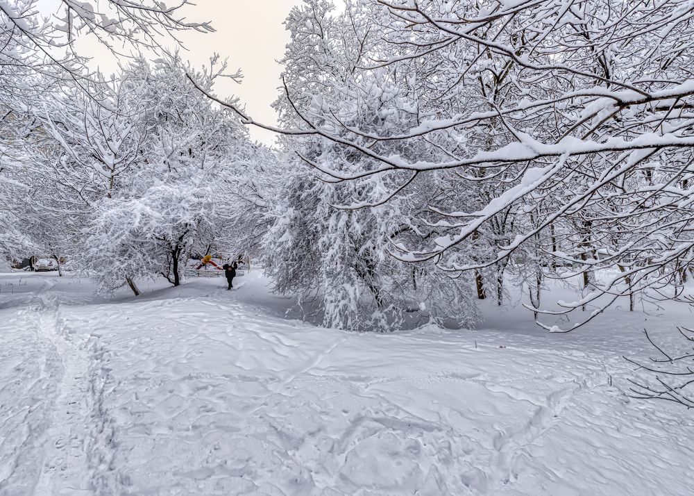 Photograph by Юрий Левко