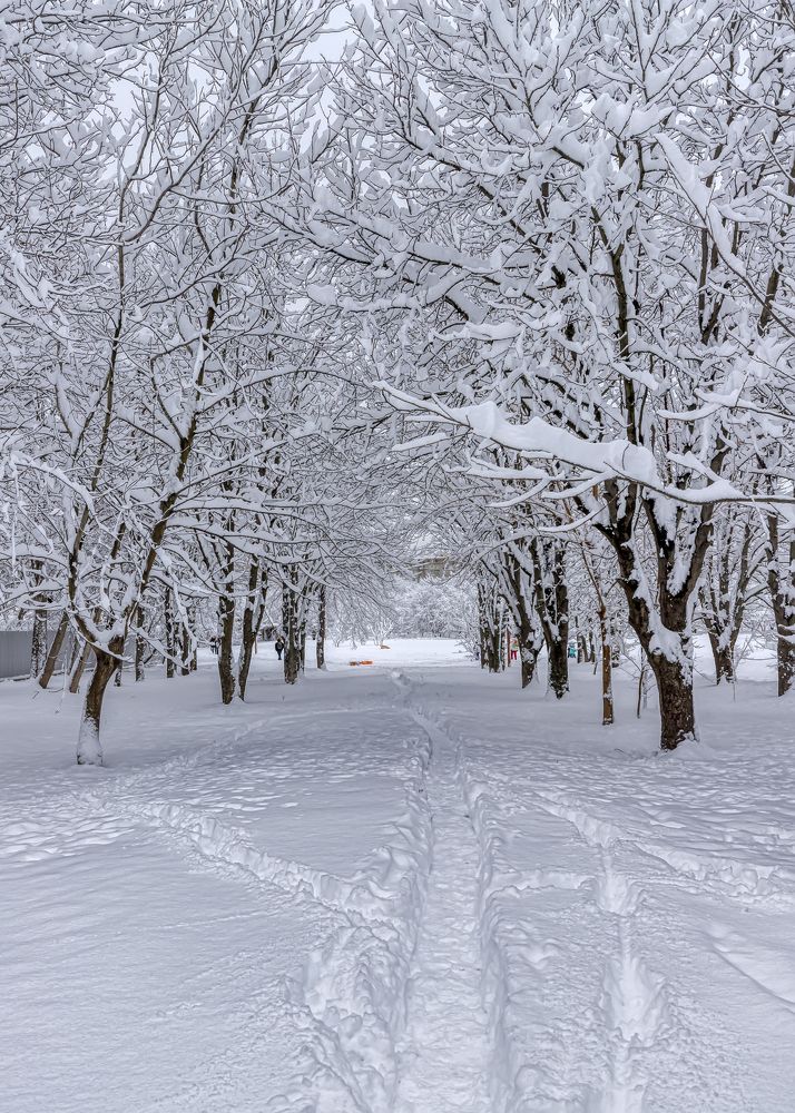 Photograph by Юрий Левко