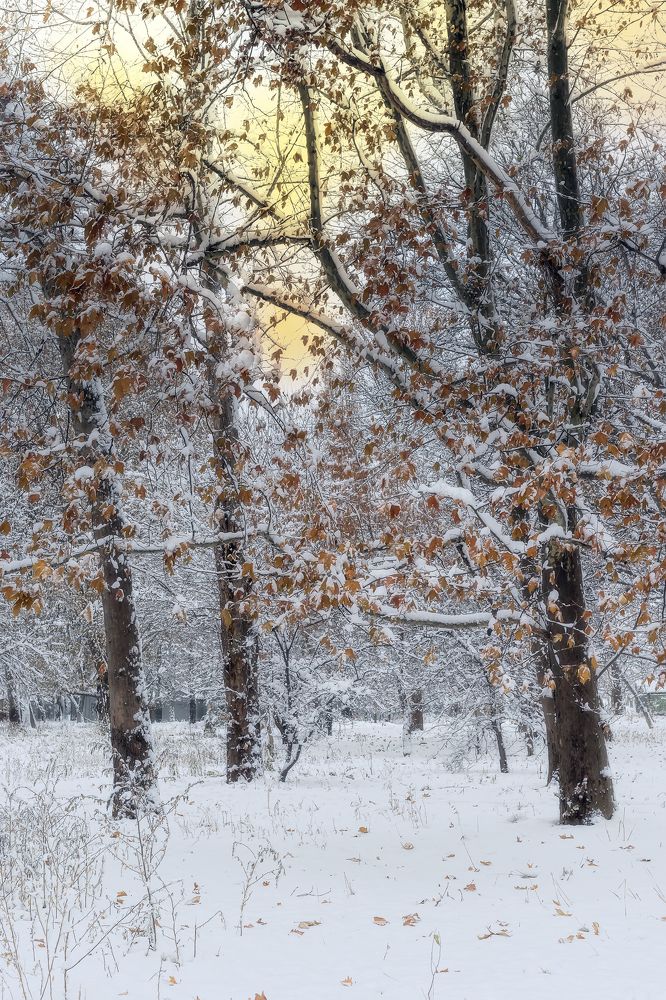 Photograph by Юрий Левко