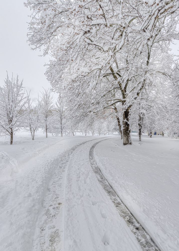 Photograph by Юрий Левко