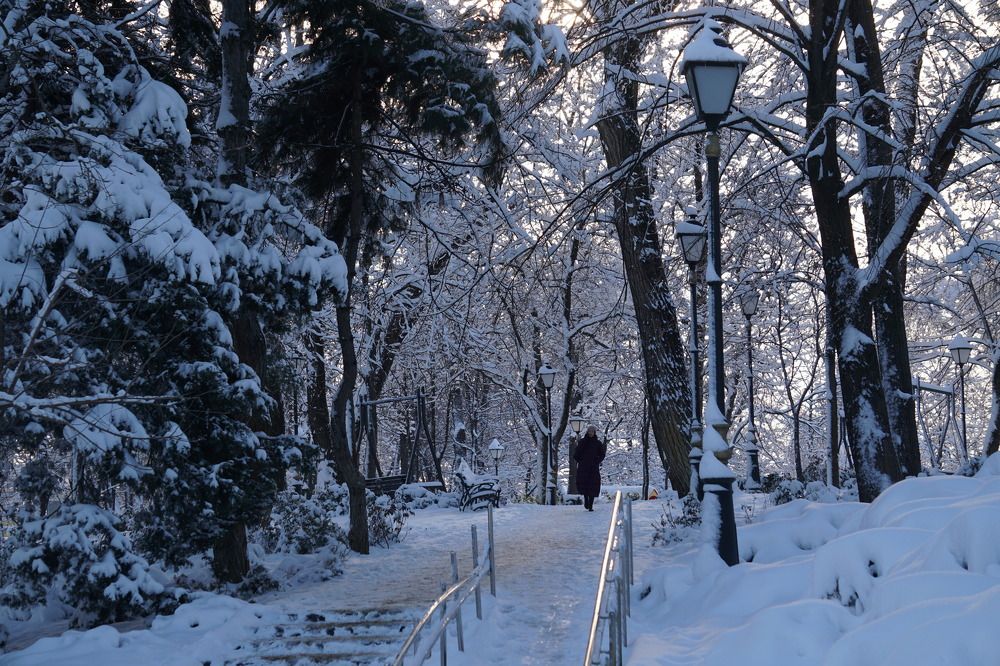 Photograph by Дмитрий Лобанов