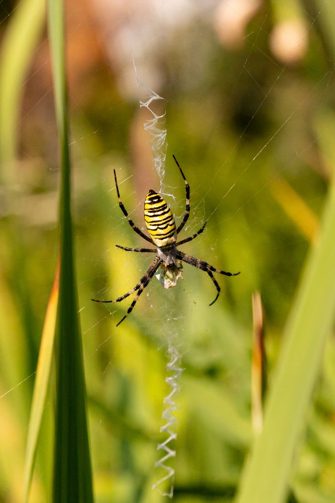 Photograph by Сергей Огромнов