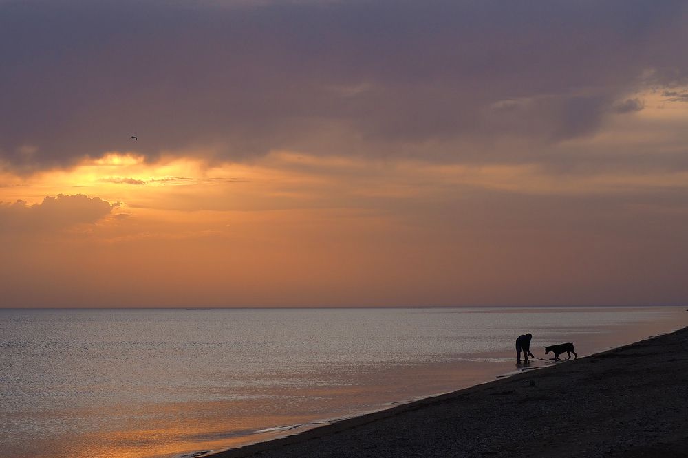 Фотография автора Александр Кротков