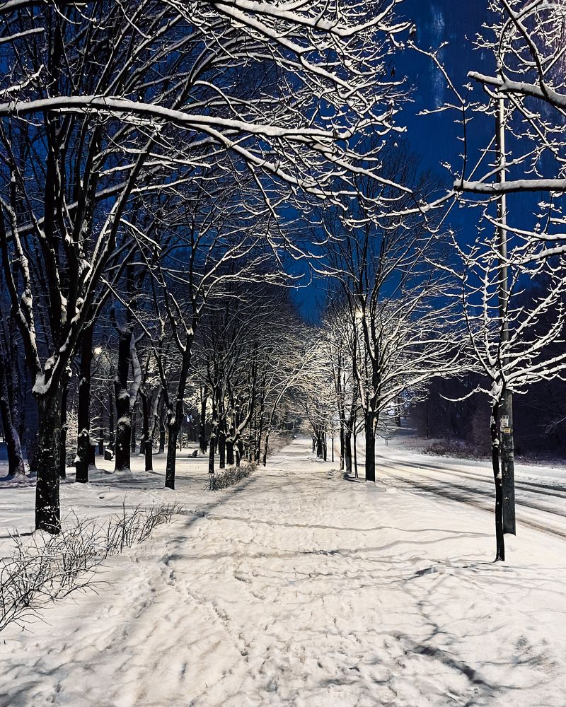 Photograph by Юлиана Шабовта