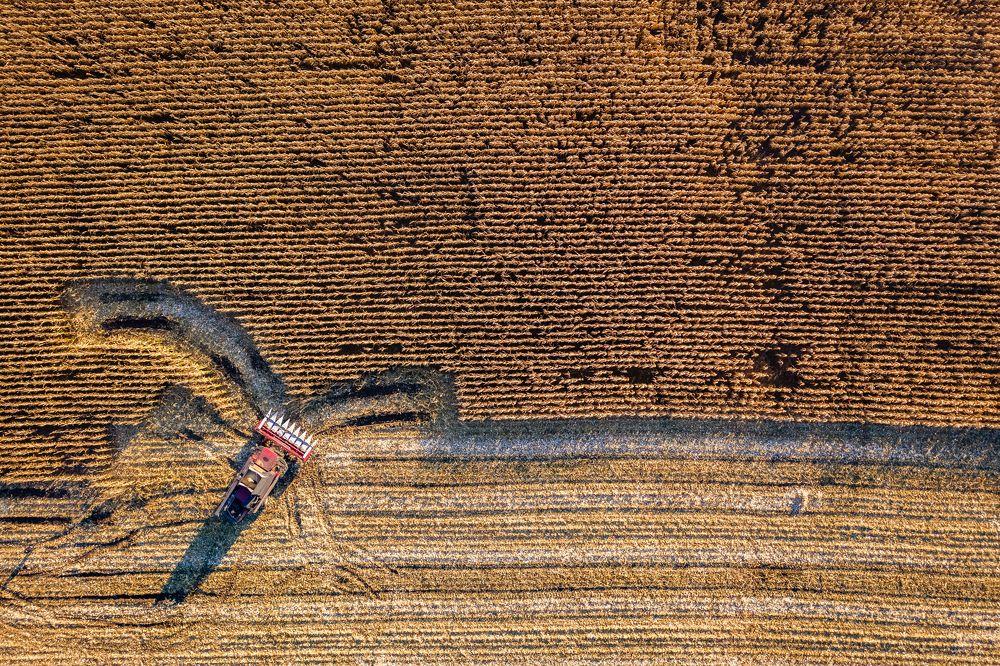 Photograph by Сергей Морозов