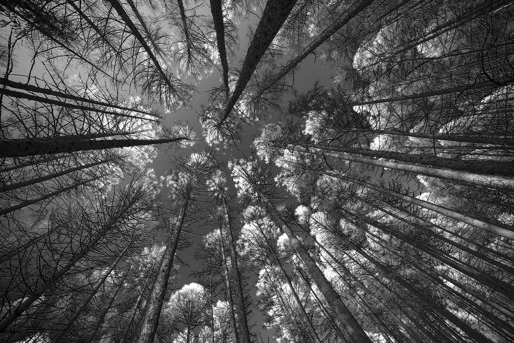 Photograph by Дмитрий Морозов