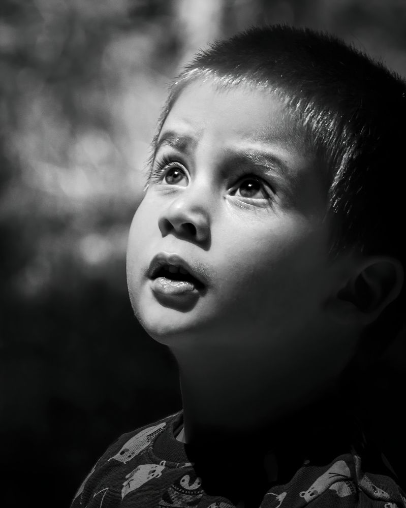 Photograph by Sergiu Vasile Bejan