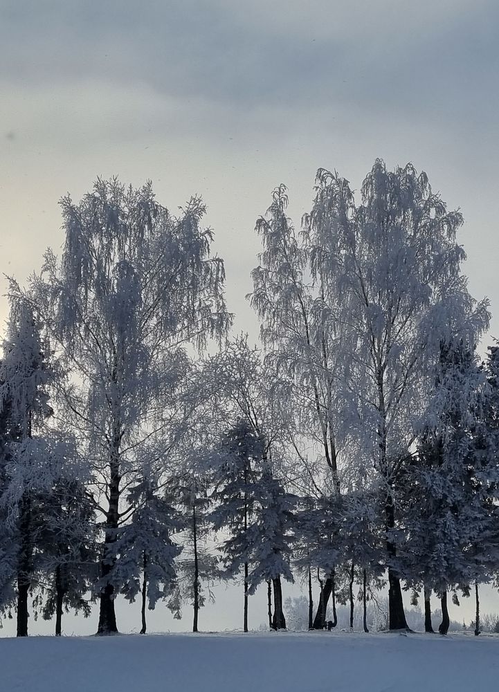 Photograph by Алиса