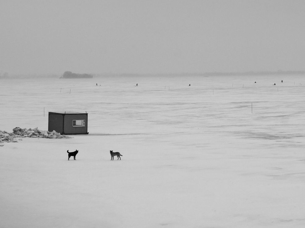 Photograph by Дмитрий Лобанов