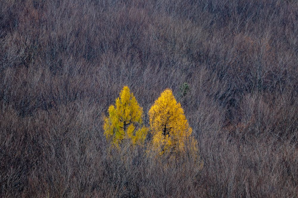 Photograph by Marcin Nalepka