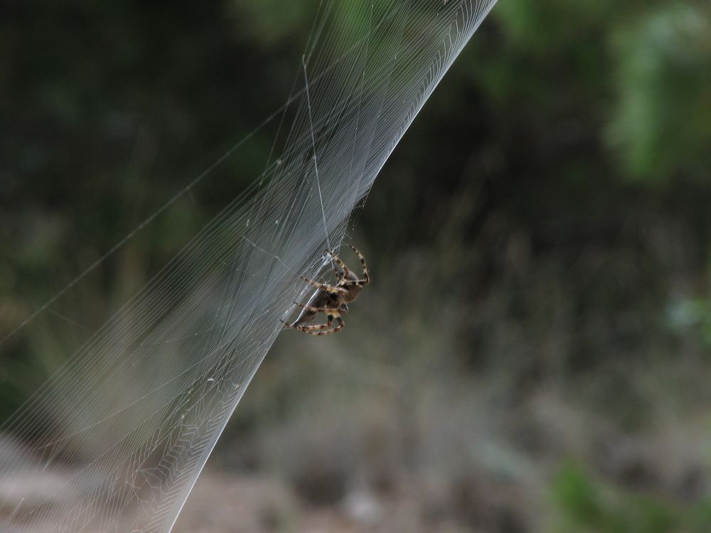 Фотография автора Сергей Дёмин