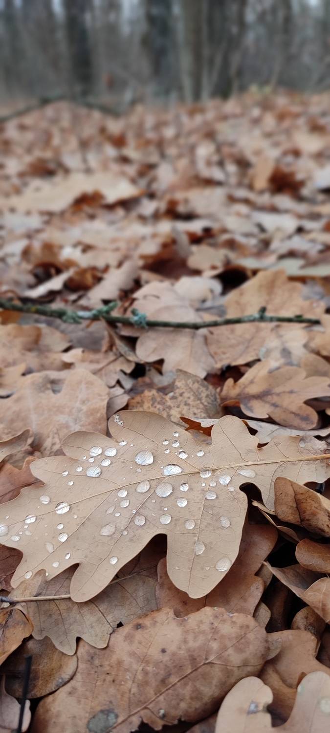 Photo #7136553