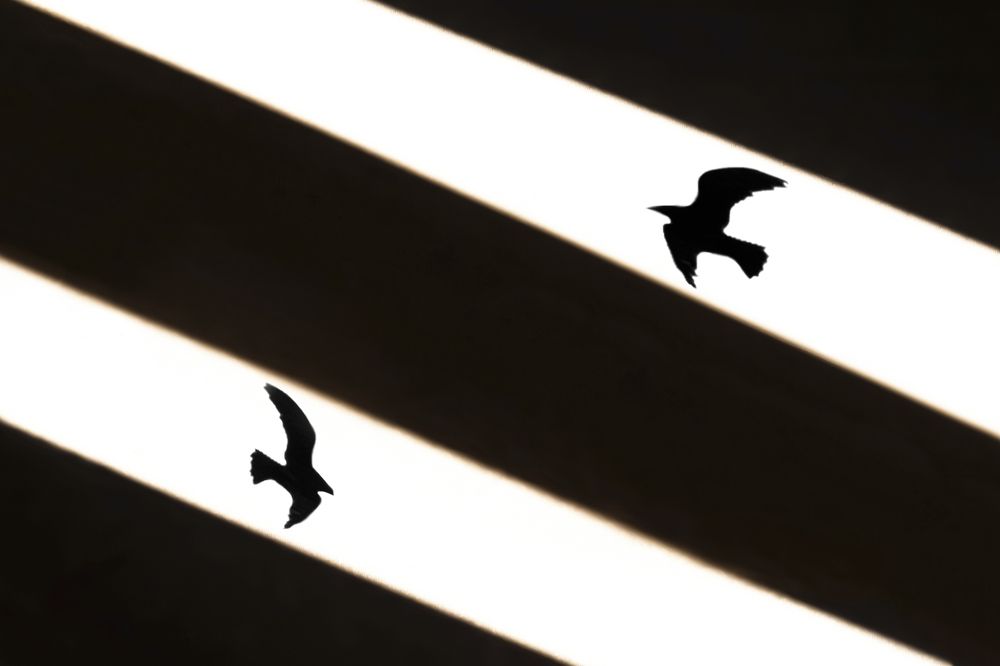 Photograph by Hoda Amouzandeh