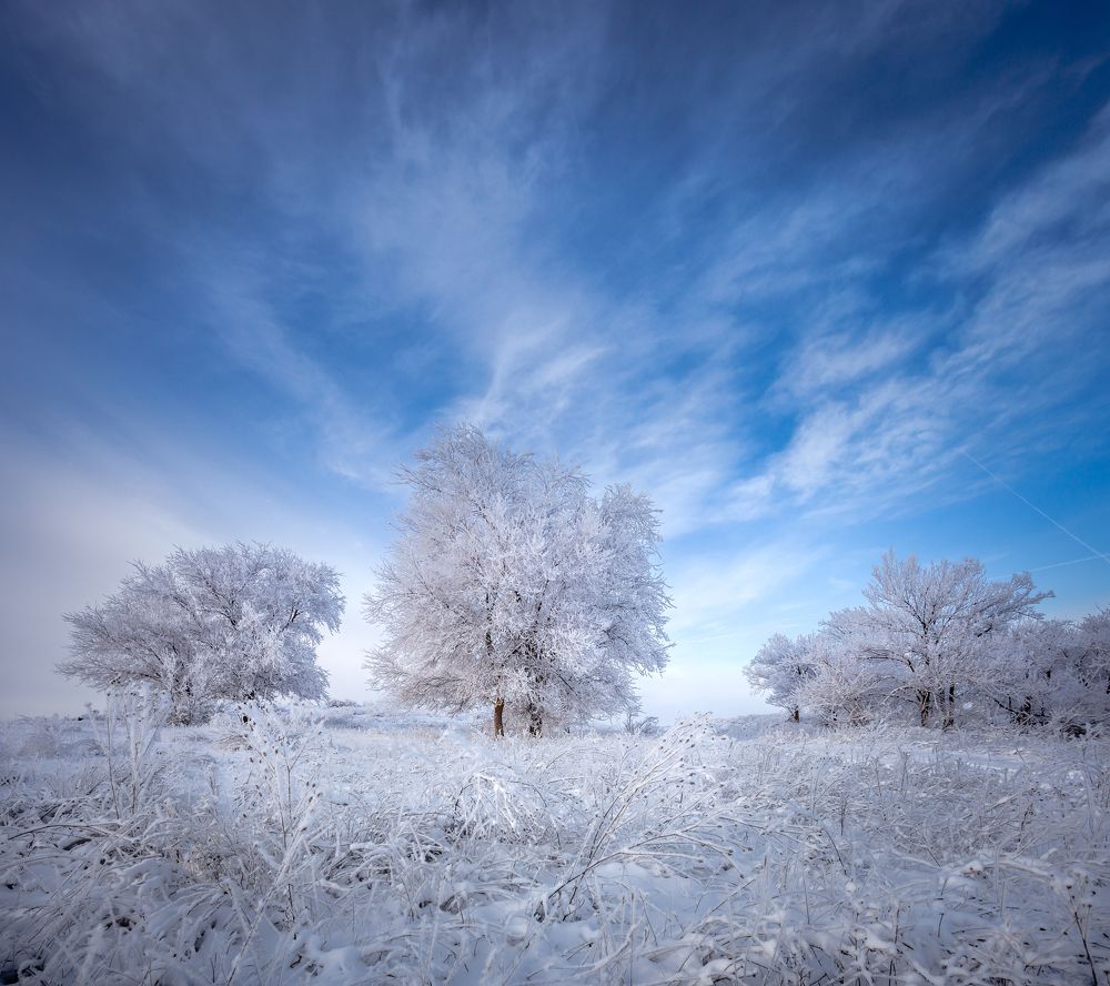 Photograph by Кобец Дмитрий